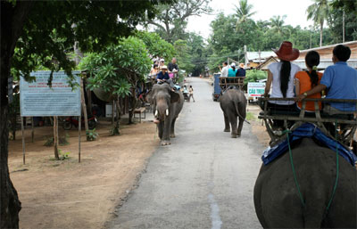 Cưỡi Voi ngắm Bản Đ&ocirc;n